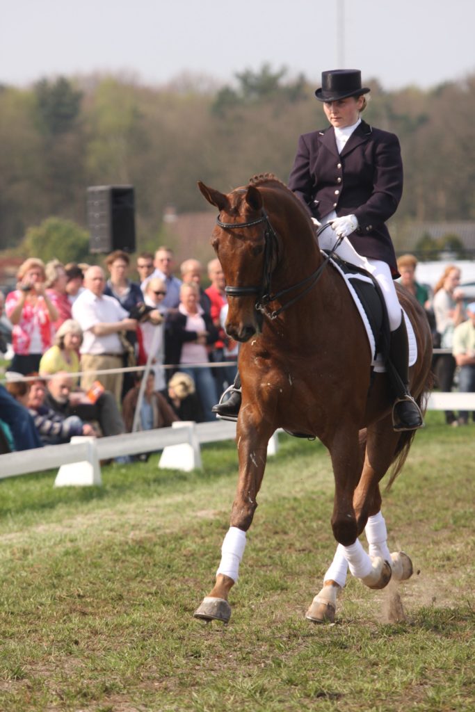 Evelien van Norel, subtop dressuur met Roxanne
