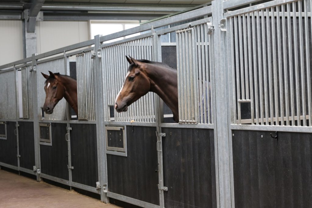 Bij Evelien op stal in Wapenveld