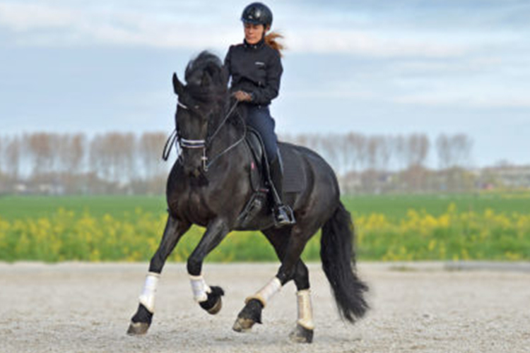 ONDERNEMER: Astrid Hoppenbrouwers, eigenaar Horses in hands