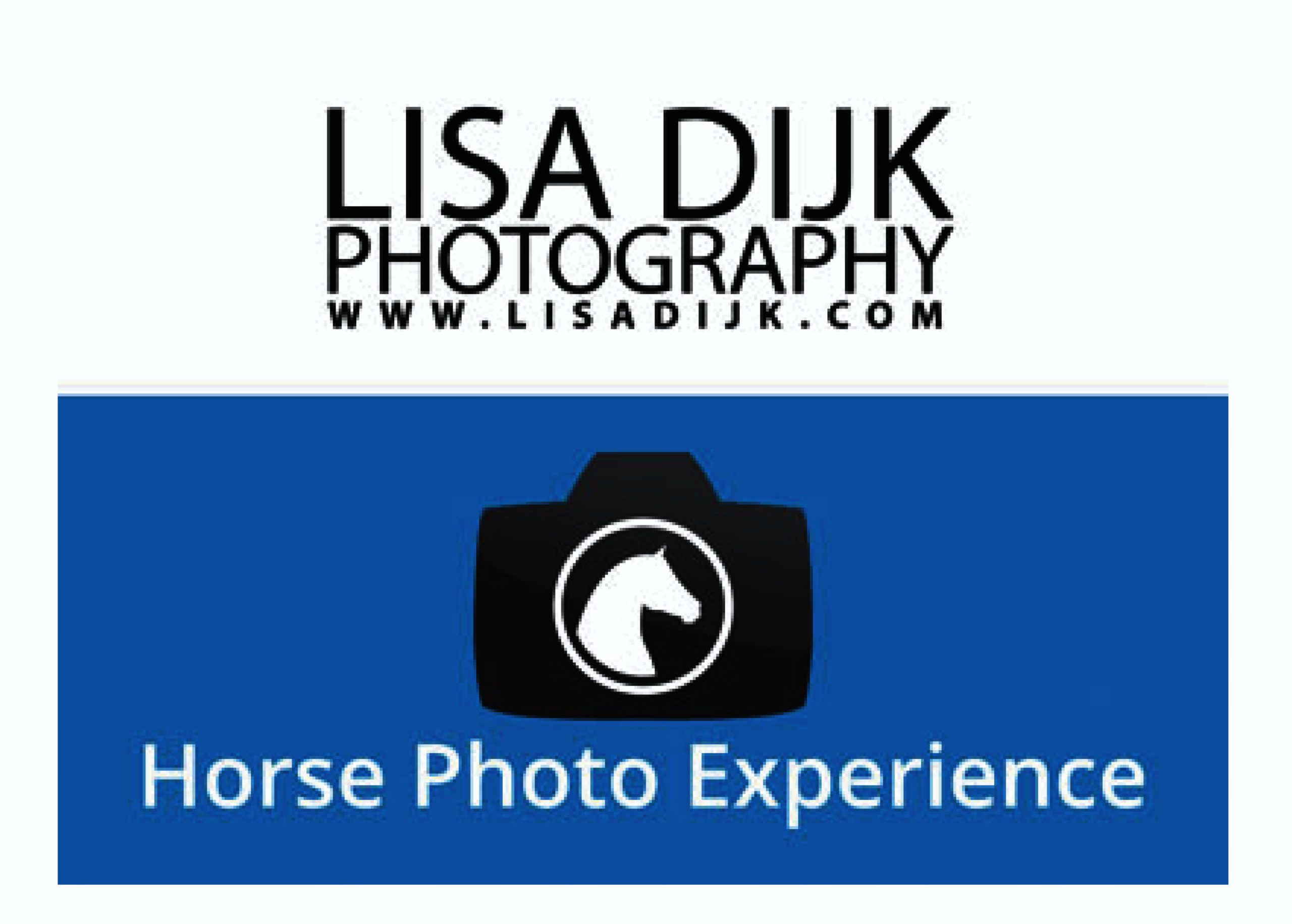 Horse Photo Experience Horse Photo Experience