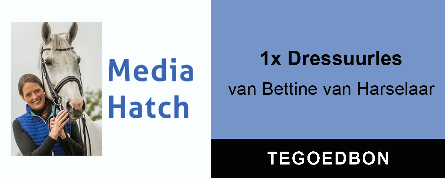 MOCKUP-WEBSITE - NEW HIPPISCH NETWERK TEAM
