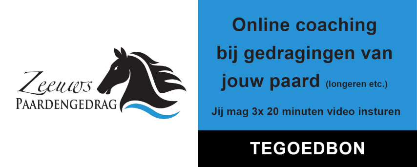Zeeuws paardengedrag Zeeuws paardengedrag
