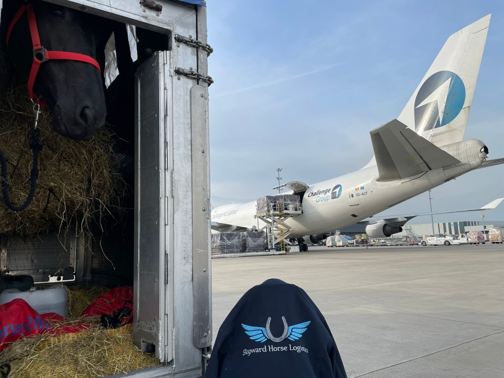 ONDERNEMER: Tien vragen aan Shira van der Woensel I Skyward Horse Logistics