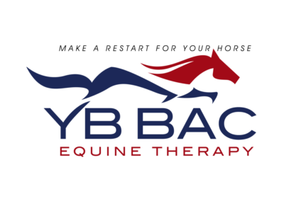 YB BAC Equine Therapy I Brons