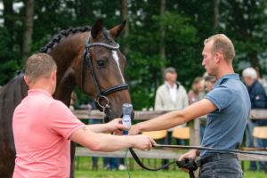 MT Stables Kootwijkerbroek
