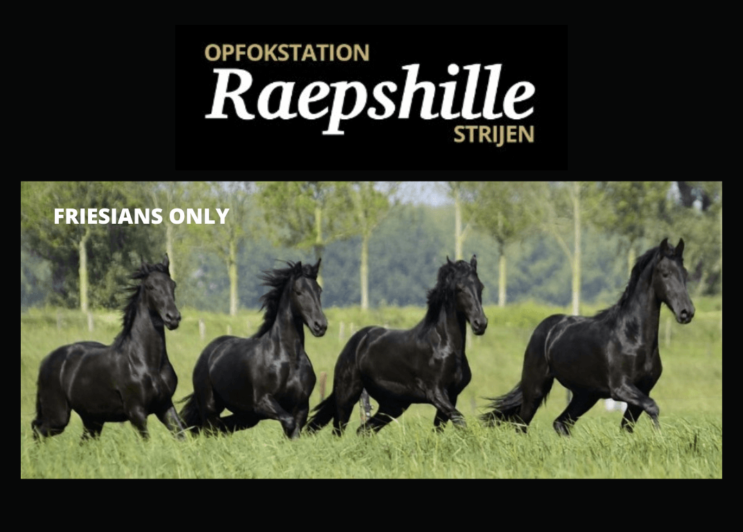 Opfokstation Raepshille