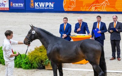 KWPN Fokkerscafé op Indoor Friesland 2025