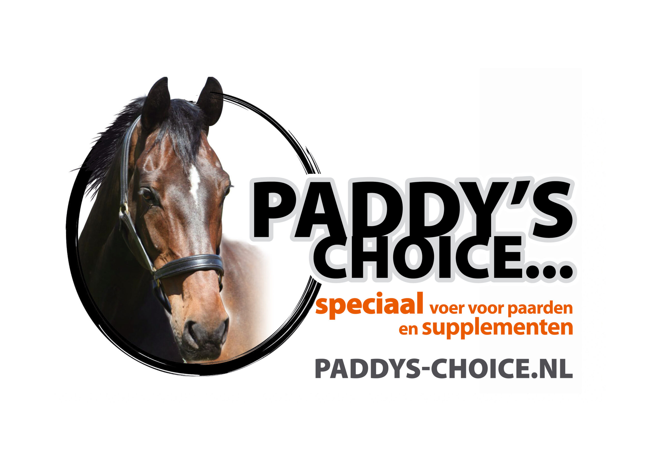 Paddy's Choice